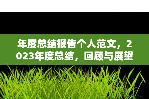 年度总结报告个人范文图片