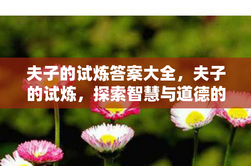 探索智慧与道德的边界图片