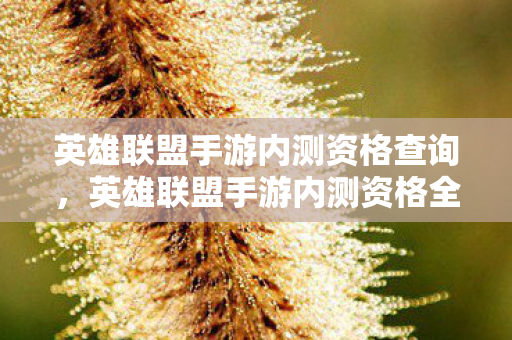 英雄联盟手游内测资格全解析图片