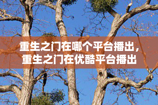 重生之门在哪个平台播出图片