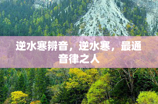 最通音律之人图片