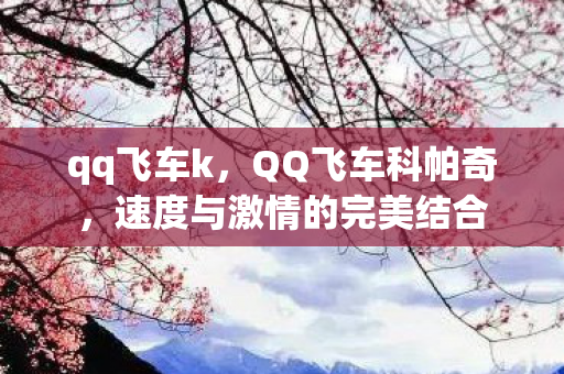 速度与激情的完美结合图片