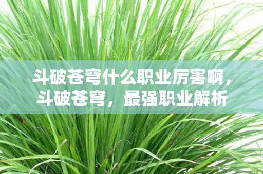 斗破苍穹什么职业厉害啊图片