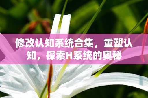修改认知系统合集，重塑认知，探索H系统的奥秘