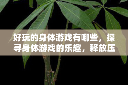 好玩的身体游戏有哪些，探寻身体游戏的乐趣，释放压力，提升健康