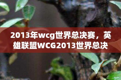 2013年wcg世界总决赛，英雄联盟WCG2013世界总决赛，传奇之战的回顾
