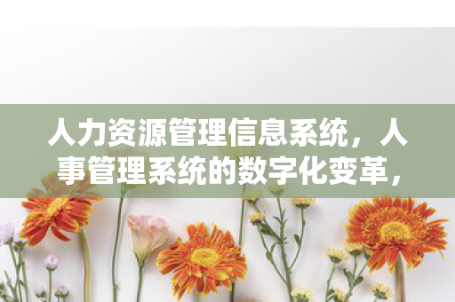 人力资源管理信息系统，人事管理系统的数字化变革，提升效率与精准决策