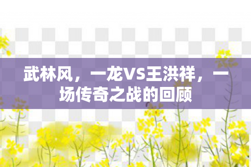 一场传奇之战的回顾图片