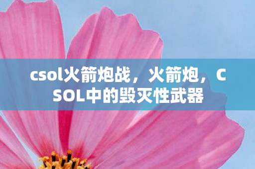 CSOL中的毁灭性武器图片