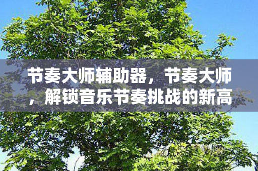 解锁音乐节奏挑战的新高度图片