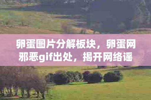 揭开网络谣言背后的真相图片