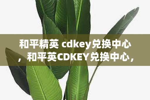 和平精英 cdkey兑换中心图片