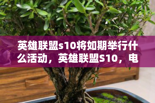 英雄联盟s10将如期举行什么活动图片