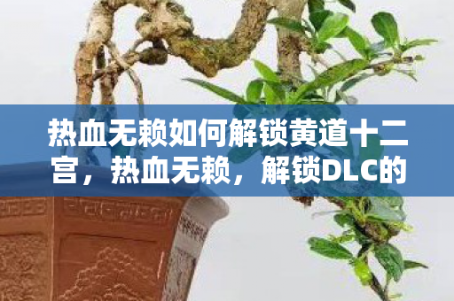 热血无赖如何解锁黄道十二宫图片