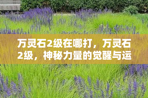 万灵石2级在哪打，万灵石2级，神秘力量的觉醒与运用