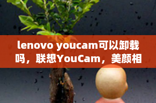 lenovo youcam可以卸载吗图片