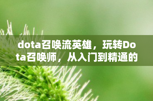 从入门到精通的全面指南图片