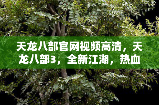 天龙八部官网视频高清，天龙八部3，全新江湖，热血来袭官网视频首曝