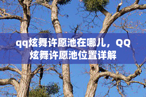 QQ炫舞许愿池位置详解图片