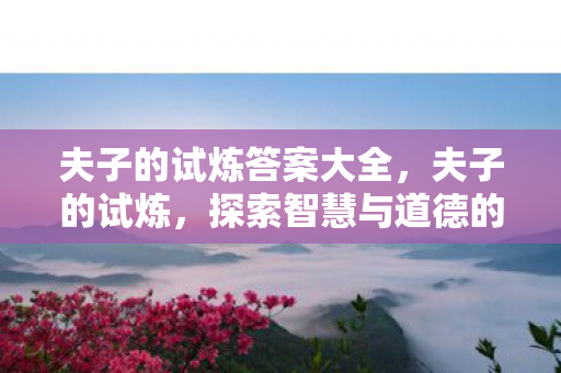 夫子的试炼答案大全，夫子的试炼，探索智慧与道德的边界