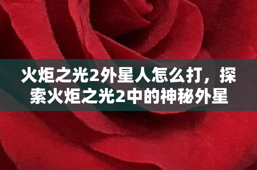 火炬之光2外星人怎么打，探索火炬之光2中的神秘外星人，一场跨星际的冒险