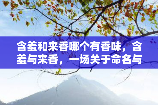 含羞和来香哪个有香味，含羞与来香，一场关于命名与选择的探讨