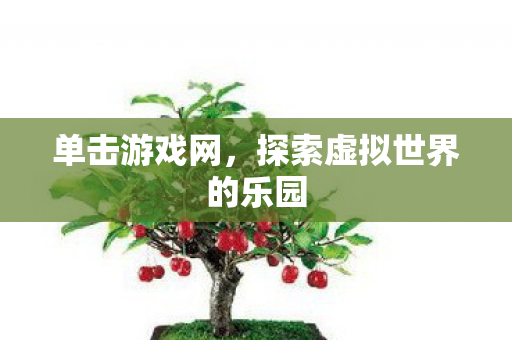 单击游戏网，探索虚拟世界的乐园
