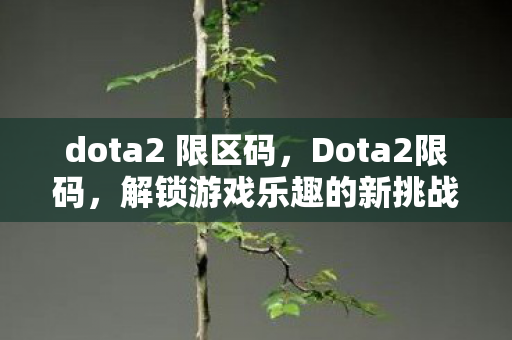 dota2 限区码，Dota2限码，解锁游戏乐趣的新挑战