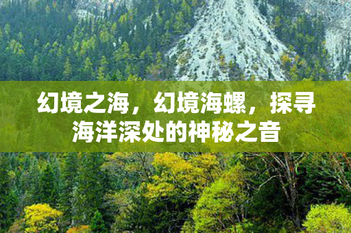 幻境之海，幻境海螺，探寻海洋深处的神秘之音