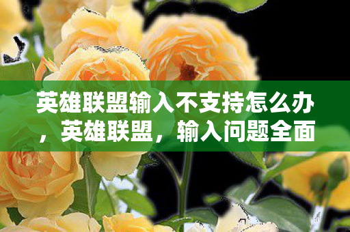 英雄联盟输入不支持怎么办,英雄联盟,输入问题全面解析与解决方案 英雄联盟输入不支持怎么办,英雄联盟,输入问题全面解析与解决方案