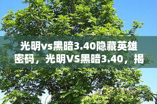 光明vs黑暗3.40隐藏英雄密码,光明VS黑暗3.40,揭秘隐藏英雄的不朽传奇 光明vs黑暗3.40隐藏英雄密码,光明VS黑暗3.40,揭秘隐藏英雄的不朽传奇