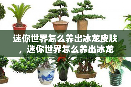 迷你世界怎么养出冰龙皮肤，迷你世界怎么养出冰龙