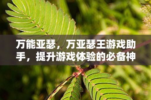 万能亚瑟，万亚瑟王游戏助手，提升游戏体验的必备神器