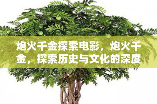 炮火千金探索电影，炮火千金，探索历史与文化的深度之旅