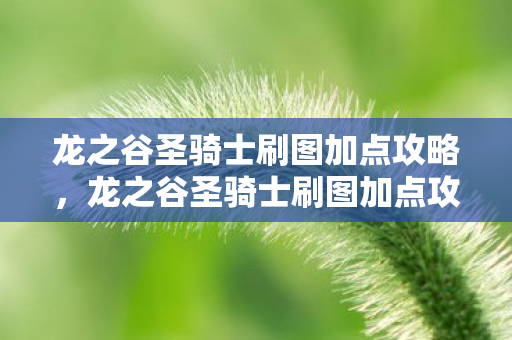 龙之谷圣骑士刷图加点攻略,龙之谷圣骑士刷图加点攻略 龙之谷圣骑士刷图加点攻略,龙之谷圣骑士刷图加点攻略