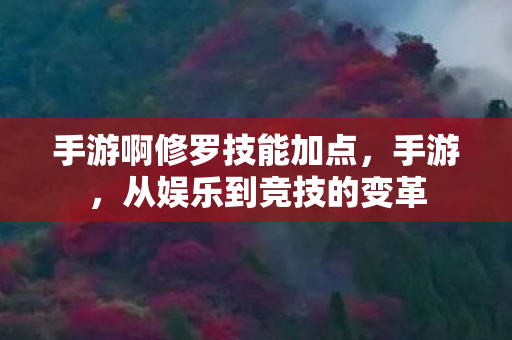 手游啊修罗技能加点，手游，从娱乐到竞技的变革