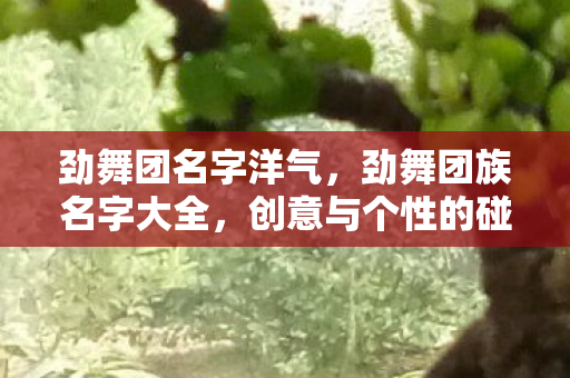 劲舞团名字洋气,劲舞团族名字大全,创意与个性的碰撞 劲舞团名字洋气,劲舞团族名字大全,创意与个性的碰撞