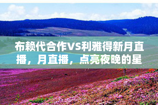 布赖代合作VS利雅得新月直播，月直播，点亮夜晚的星光