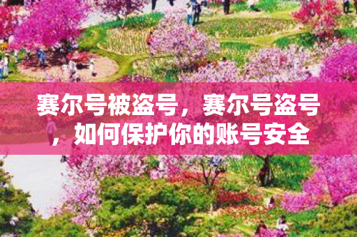 赛尔号被盗号，赛尔号盗号，如何保护你的账号安全