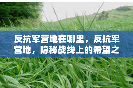 反抗军营地在哪里，反抗军营地，隐秘战线上的希望之光
