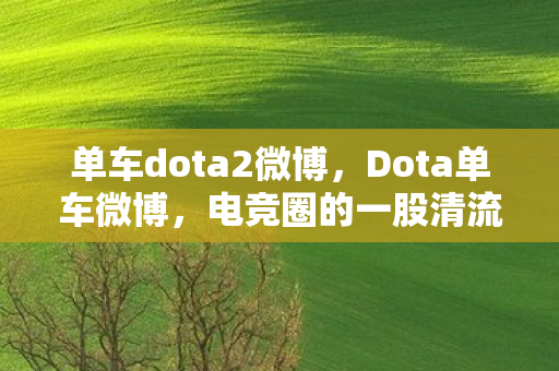 单车dota2微博，Dota单车微博，电竞圈的一股清流，传递正能量
