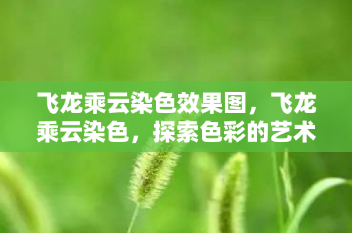 飞龙乘云染色效果图，飞龙乘云染色，探索色彩的艺术与科技的融合之美
