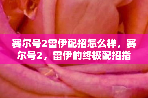 赛尔号2雷伊配招怎么样，赛尔号2，雷伊的终极配招指南