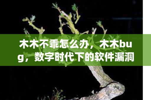 木木不乖怎么办,木木bug,数字时代下的软件漏洞与修复 木木不乖怎么办,木木bug,数字时代下的软件漏洞与修复