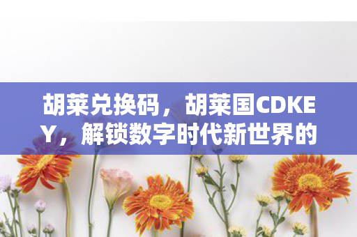 胡莱兑换码，胡莱国CDKEY，解锁数字时代新世界的钥匙