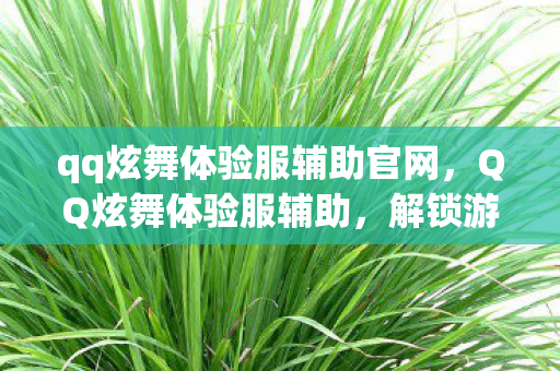 qq炫舞体验服辅助官网，QQ炫舞体验服辅助，解锁游戏乐趣的钥匙？