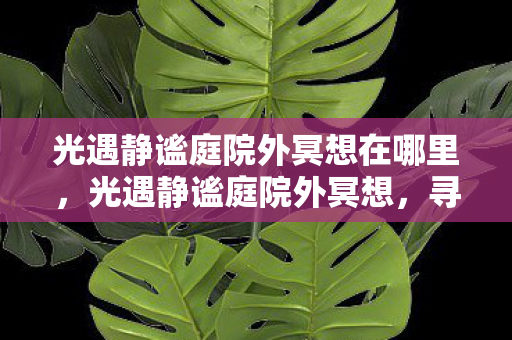 光遇静谧庭院外冥想在哪里，光遇静谧庭院外冥想，寻找内心的宁静与和谐