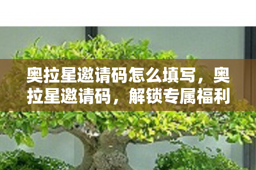 奥拉星邀请码怎么填写，奥拉星邀请码，解锁专属福利，开启奇妙之旅