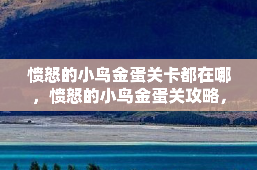 愤怒的小鸟金蛋关卡都在哪，愤怒的小鸟金蛋关攻略，解锁隐藏关卡，挑战你的智慧与技巧
