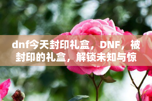 dnf今天封印礼盒,DNF,被封印的礼盒,解锁未知与惊喜 dnf今天封印礼盒,DNF,被封印的礼盒,解锁未知与惊喜